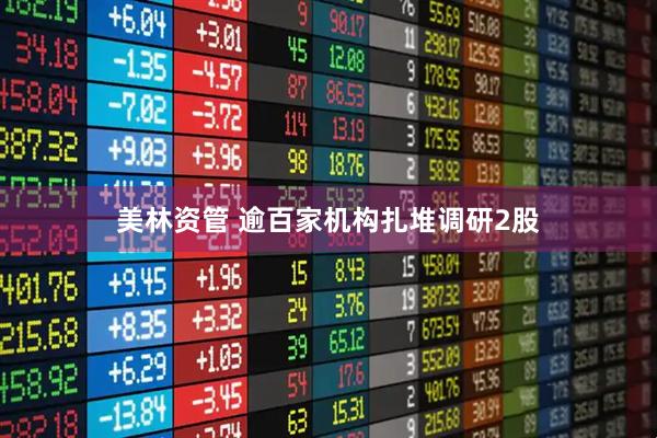 美林资管 逾百家机构扎堆调研2股