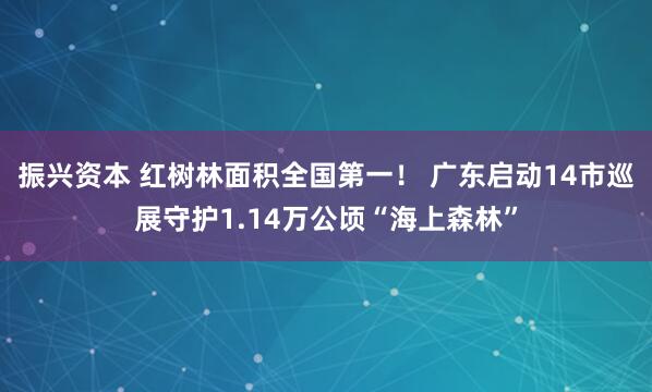 振兴资本 红树林面积全国第一! 广东启动14市巡展守护1.14万公顷“海上森林”