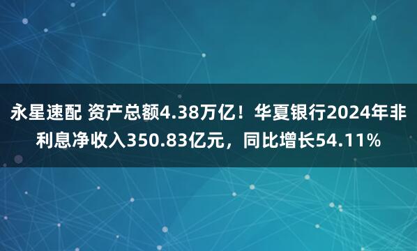 永星速配 资产总额4.38万亿！华夏银行2024年非利息净收入350.83亿元，同比增长54.11%