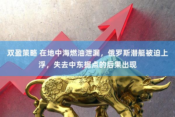 双盈策略 在地中海燃油泄漏，俄罗斯潜艇被迫上浮，失去中东据点的后果出现