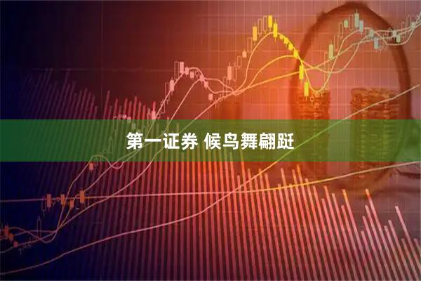 第一证券 候鸟舞翩跹