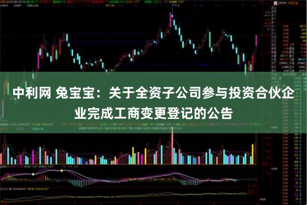 中利网 兔宝宝：关于全资子公司参与投资合伙企业完成工商变更登记的公告