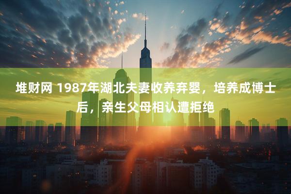 堆财网 1987年湖北夫妻收养弃婴，培养成博士后，亲生父母相认遭拒绝